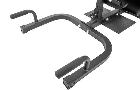 AMILA Sissy Squat Abs Machine with Weights