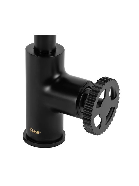 Rea Vertigo Küchenarmatur Schwarz