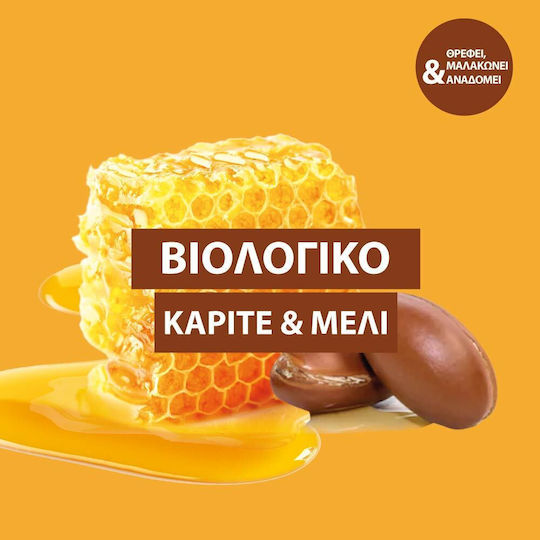 Le Petit Marseillais Σαμπουάν Αναδόμησης/Θρέψης για Όλους τους Τύπους Μαλλιών 300ml