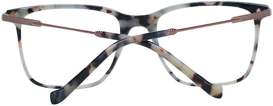 Hackett Männlich Kunststoff Brillenrahmen Braun HEB273-109