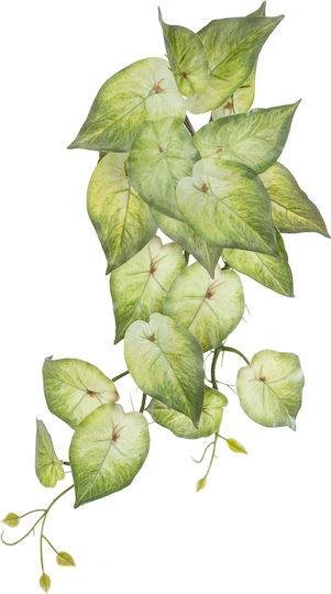 Dekorative künstliche Pflanze Begonie Grün 50cm in Box GloboStar