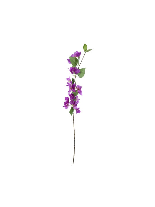 Bougainvillea Lila 80cm in Box GloboStar