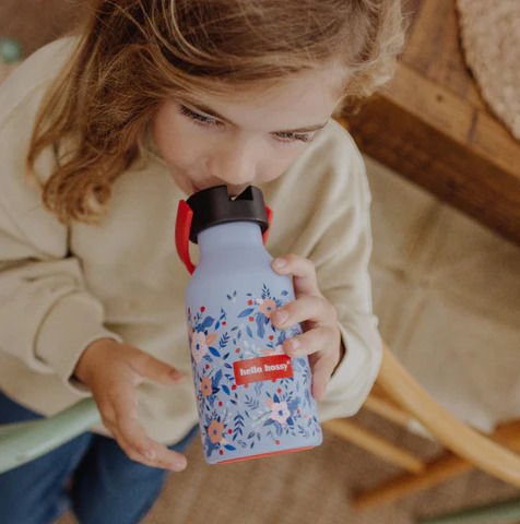 Hello Hossy Kids Water Bottle Thermos Stainless Steel with Straw Champetre 350ml