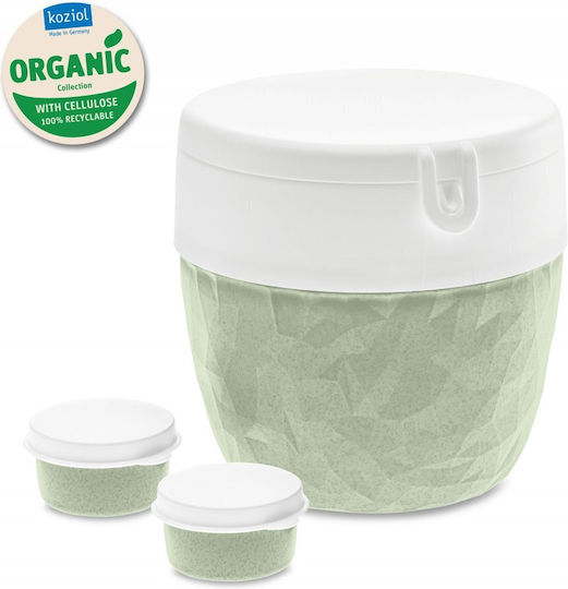 Koziol Koziol Kunststoff Mittagsboxen Nature Leaf 800ml 3 Stück