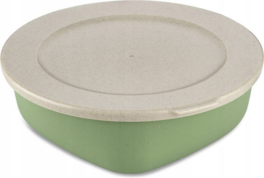Koziol Mittagsboxen Grün 1,3lt