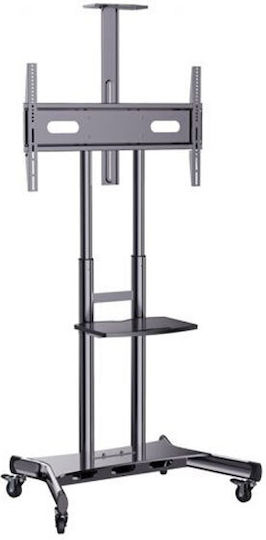 Hagor BrackIT HD XXL Βάση Τηλεόρασης Δαπέδου έως 120" και 140kg