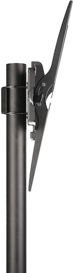 Techly ICA-TR21 Βάση Τηλεόρασης Δαπέδου έως 55" και 25kg
