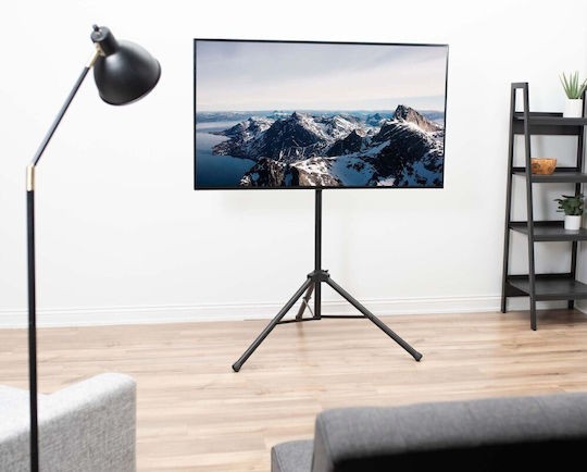 Techly ICA-TR17T2 ICA-TR17T2 Fernsehhalterung Boden bis 60" und 35kg