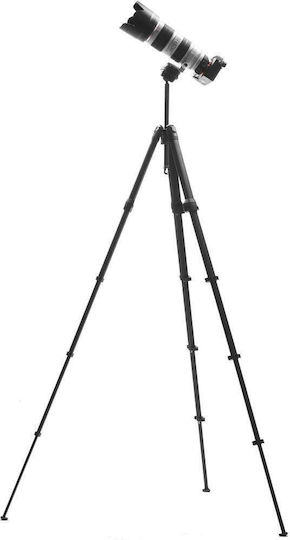 Peak Design Peak Design Kamerastative aus Aluminium mit Kugelförmiger Kopfart bis 152cm