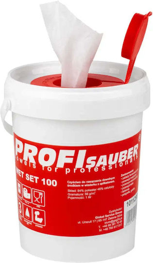 Profi Sauber Screen Cleaner 145ml 1pcs