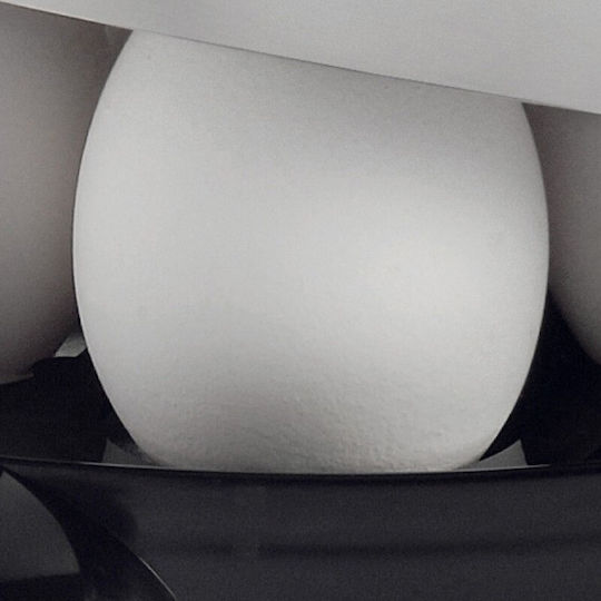 WMF Stelio Egg Cooker 7 Egg Capacity 380W Black