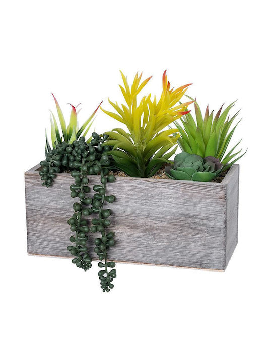 Globostar Artificial Garden Succulent Various Plant Potted 21034 Decorative Plant Mix M25 X H22cm