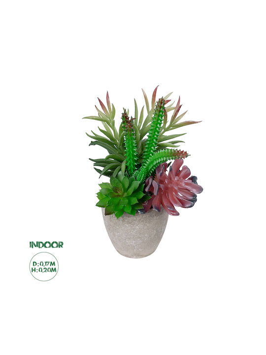 Globostar Artificial Garden Succulent Various Plant Potted 21039 Decorative Plant Mix M17 X H20cm