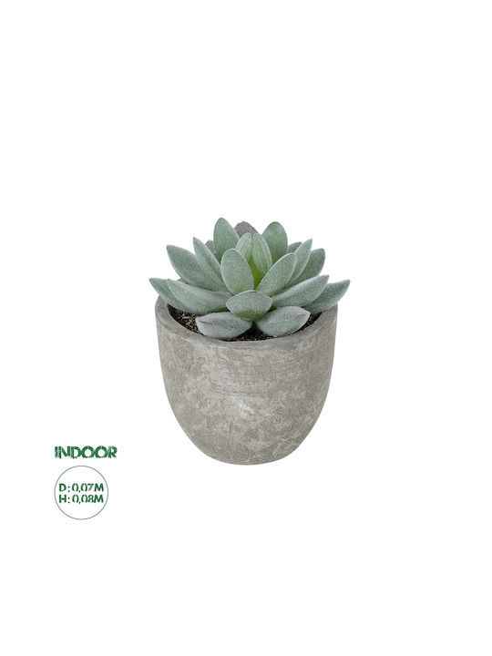 Globostar Artificial Garden Succulent Sedeveria Potted Plant 21016 Decorative Plant Sedeveria Φ7 X H8cm