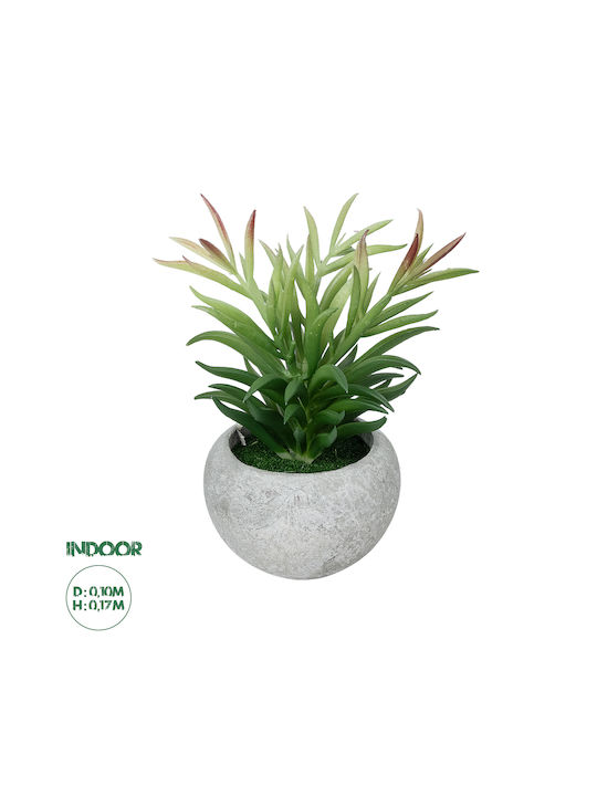 Globostar Plantă Artificială de Grădină Suculentă Crassula în Ghiveci 21038 Plantă Decorativă Crassula Φ10 X H17cm