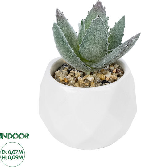 Globostar Artificial Garden Succulent Aloe Potted Plant 20999 Decorative Plant Aloe F7 X H9cm Globostar Artificial Garden Succulent Aloe Potted Plant 20999 Decorative Plant Aloe F7 X H9cm