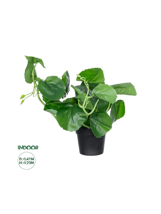 Globostar Artificial Garden Bell Plant 20957 Decorative Plant Sheflera Φ47 X H22cm