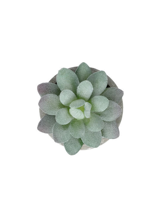 Globostar Artificial Garden Succulent Sedeveria Potted Plant 21016 Decorative Plant Sedeveria Φ7 X H8cm