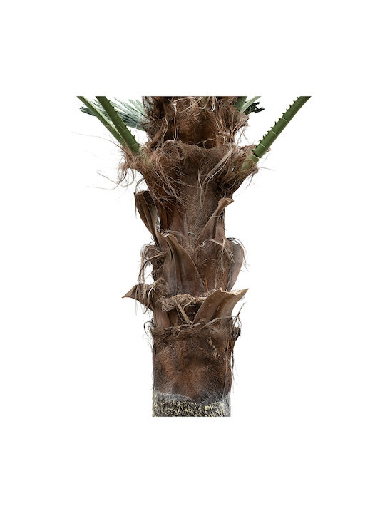 Globostar Artificial Garden Plant Palm Tree 21057 Διακοσμητικό Δέντρο Φοίνικα Φ240 X Υ600cm