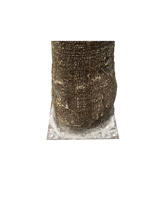 Globostar Artificial Garden Plant Palm Tree 21057 Διακοσμητικό Δέντρο Φοίνικα Φ240 X Υ600cm