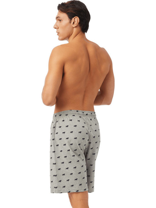 Men's Shorts Gray
