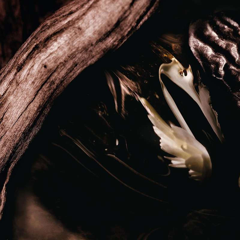 Bvlgari Man In Black Eau de Parfum 100ml