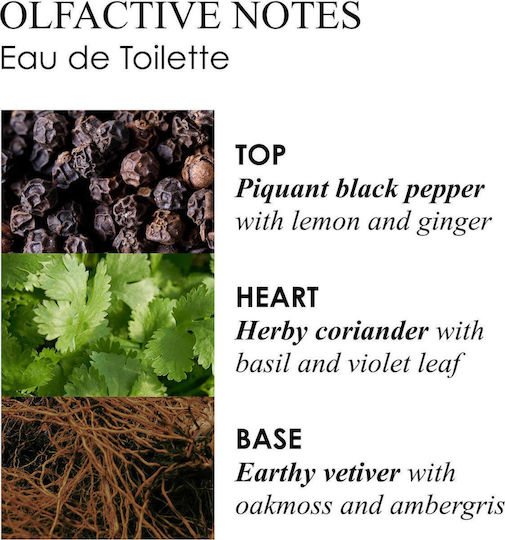 Molton Brown Re-charge Black Pepper Eau de Toilette Refillable 100ml