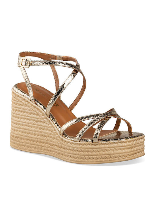Envie Shoes Envie Shoes