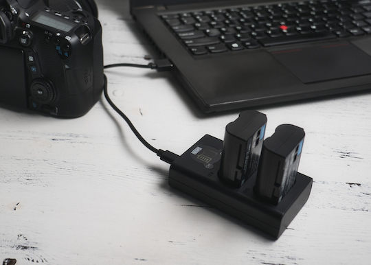 Newell Double Battery Charger Compatible with Panasonic
