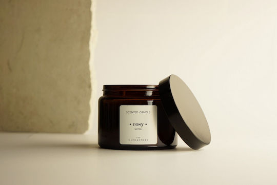 Ambientair Αρωματικό Κερί σε Βάζο με Άρωμα Cosy 360gr