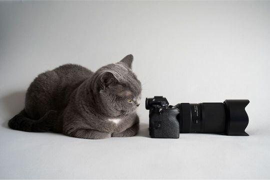 Tamron Full Frame Φωτογραφικός Φακός 50-300mm f/4.5-6.3 Di III VC VXD Tele Zoom για Sony E Mount Μαύρος