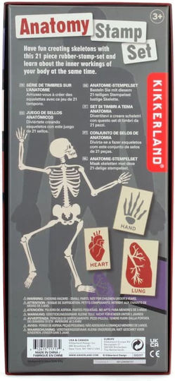 Kikkerland Σφραγίδες Anatomy Stamp για Παιδιά 3+ Ετών 21τμχ