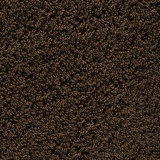 vidaXL Сет от 10 Кърпи за Басейн в Хотел 200x80 см. Кафяв Тегло 600gsm