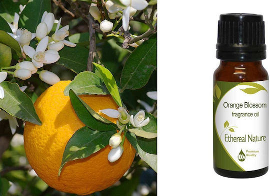 Nature & Body Ulei Esențial Orange Blossom Portocală 10ml
