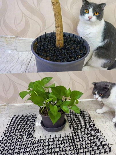 Repellent Spikes Cats / Birds 38x38m