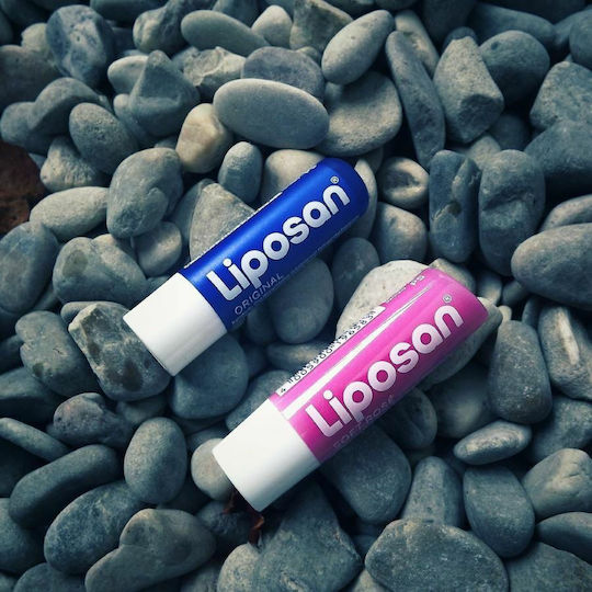 Fruity Shine Lip Balm Soft Rose 4.8gr 5.5ml