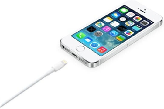 Apple USB-A to Lightning Cable Λευκό 2m