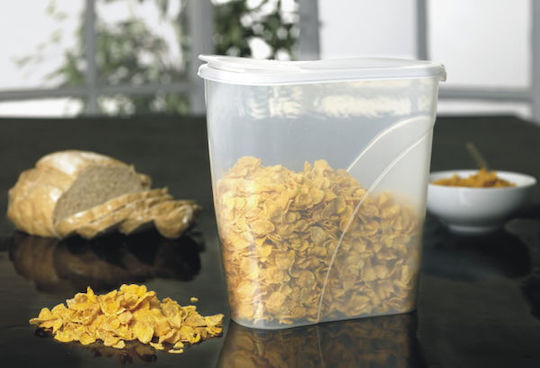 Plast Team Mittagsboxen Weiß 2.4lt