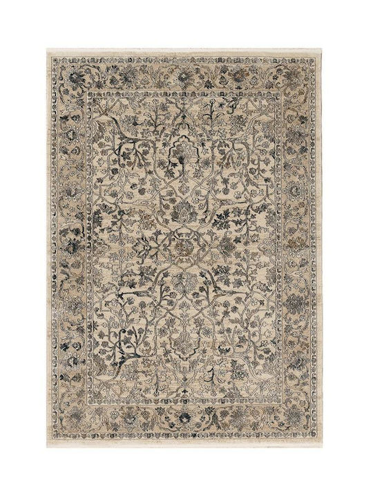 Newplan Toronto 0172 (0173) /260 Rug Rectangular 0172 (0173)