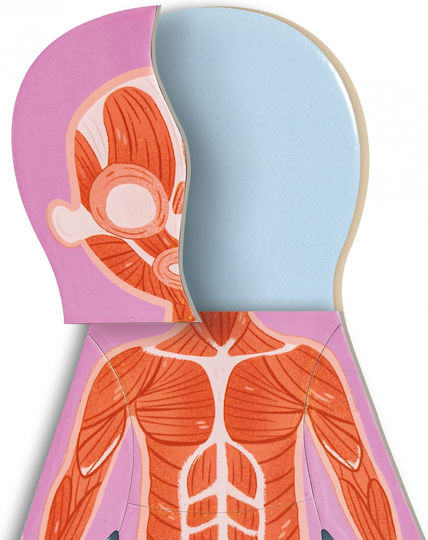 Hape Human Body Εκπαιδευτικό Παιχνίδι Γνώσεων από Ξύλο για 3-6 Ετών