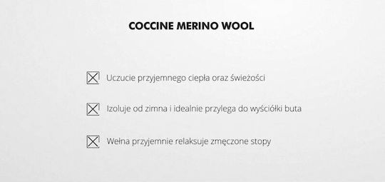 Coccine Ανατομικοί Πάτοι Παπουτσιών 1032011/41 2τμχ