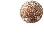 Nutree Adoraballs Riegel mit 15gr Protein & Geschmack Kokosnuss 2x20gr