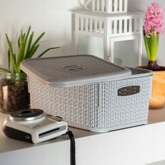 Kadax Plastic Cutie de Depozitare cu Capac Gri 6lt 1buc