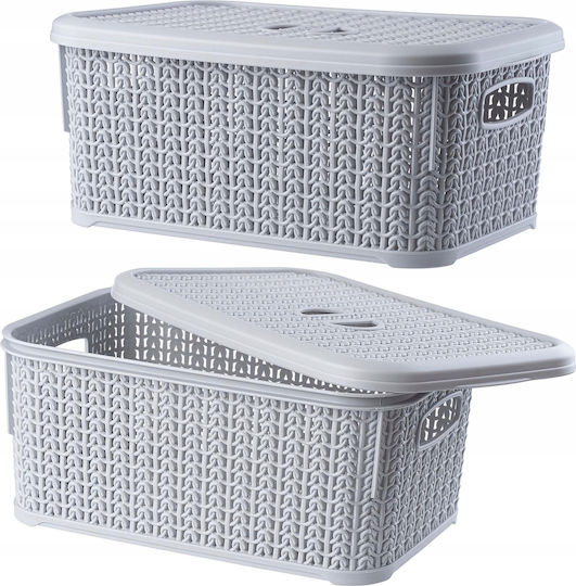 Kadax Coș de Depozitare Plastic cu capac Gri 6lt 2buc