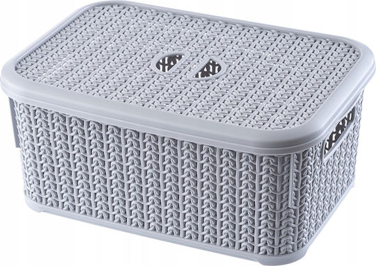 Kadax Coș de Depozitare Plastic cu capac Gri 6lt 2buc