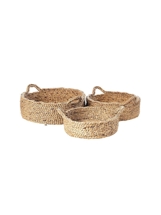 Decorative Basket Wicker with Handles S Line