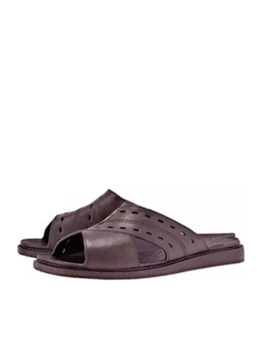 Safari Men's Sandals in Brown Colour