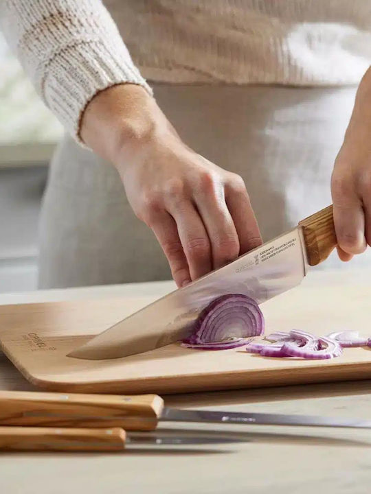 Opinel Knife Set from Stainless Steel