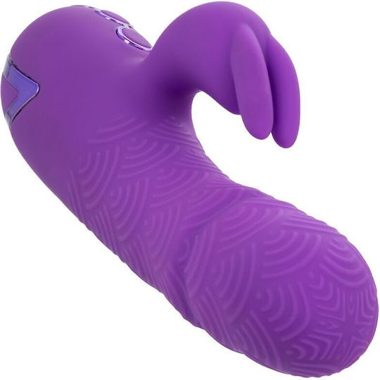 Calexotics Manhattan Beach Marvel Vibrator Rabbit Purple By California Dreaming Κωδικός Προϊόντος D-239981