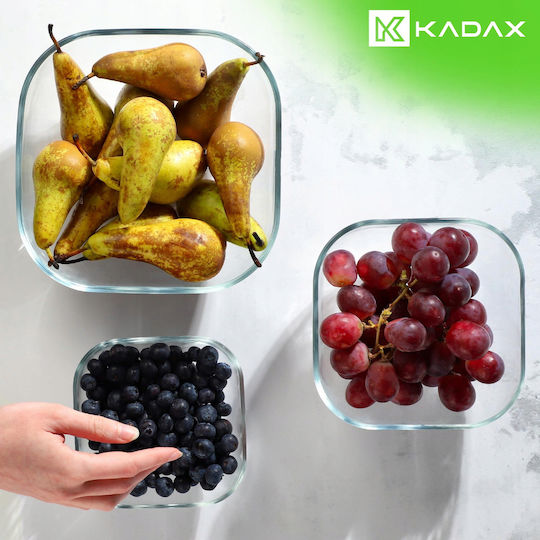 Kadax Salatschüssel Glas Transparent 20x20cm 2Stück